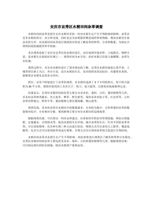 安庆市宜秀区水稻田间杂草调查