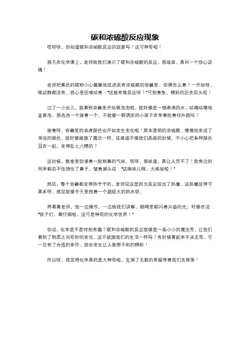 碳和浓硫酸反应现象