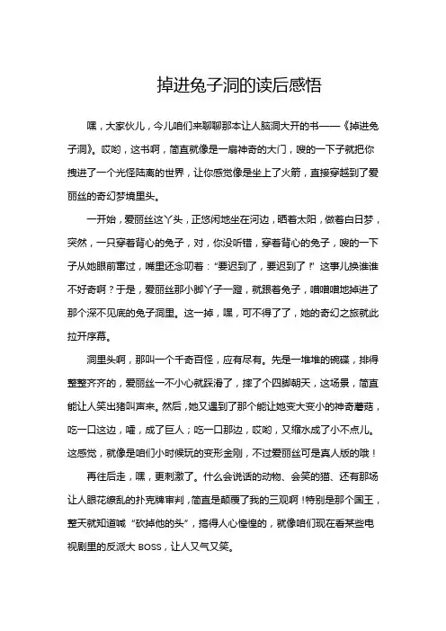 掉进兔子洞的读后感悟