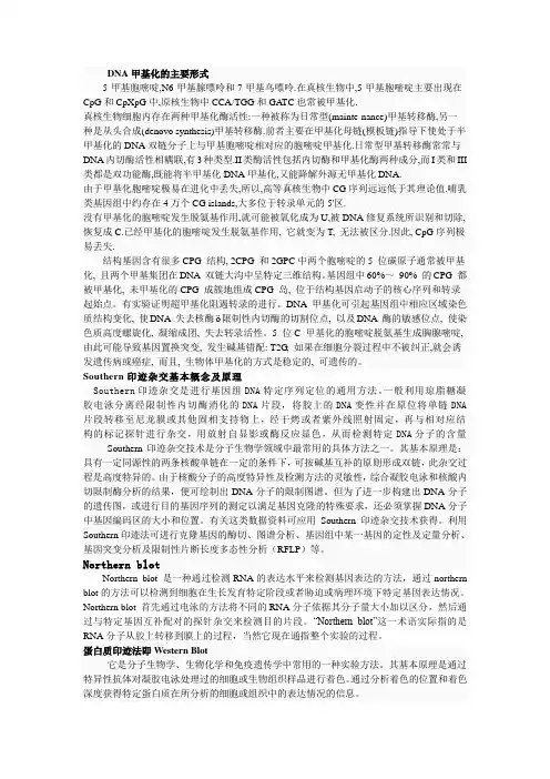 名词解释