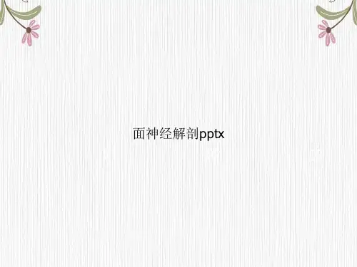 面神经解剖pptx讲课文档