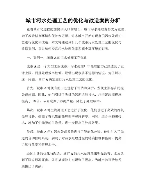 城市污水处理工艺的优化与改造案例分析