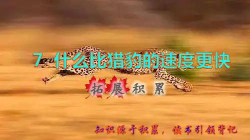 2022秋五年级语文上册 第二单元 第7课 什么比猎豹的速度更快拓展积累课件 新人教版