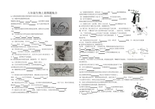 八年级上册生物图集合答案