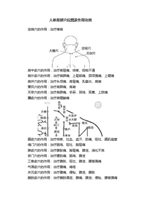 人体背部穴位图及作用功效