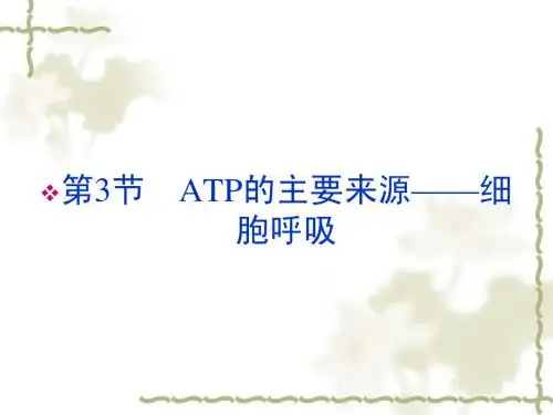 新人教版必修1高中生物第5章第3节ATP的主要来源细胞呼吸课件
