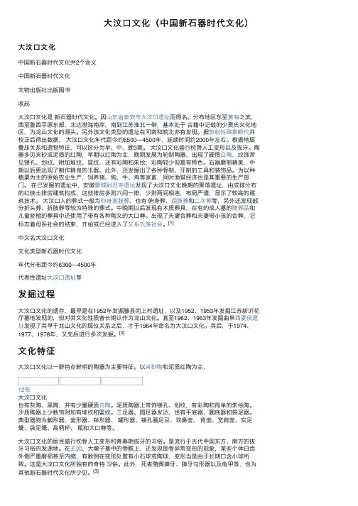 大汶口文化（中国新石器时代文化）