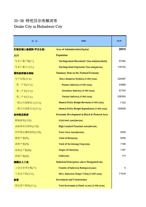 内蒙古统计年鉴2020社会经济发展指标：呼伦贝尔市根河市