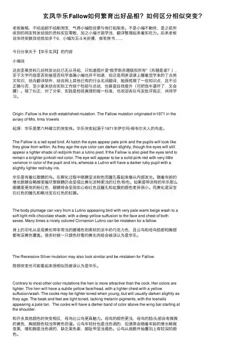 玄凤华乐Fallow如何繁育出好品相？如何区分相似突变？