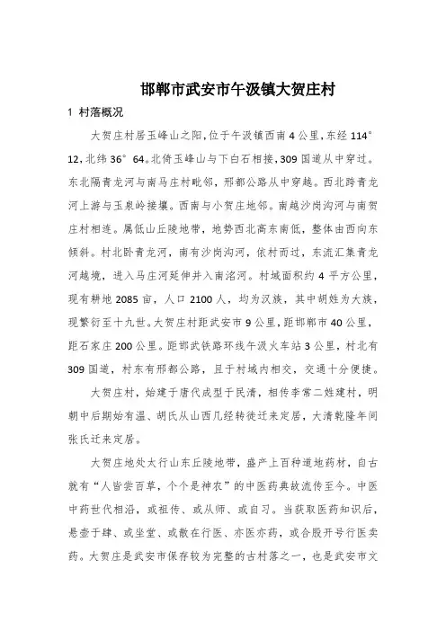 邯郸市武安市午汲镇大贺庄村