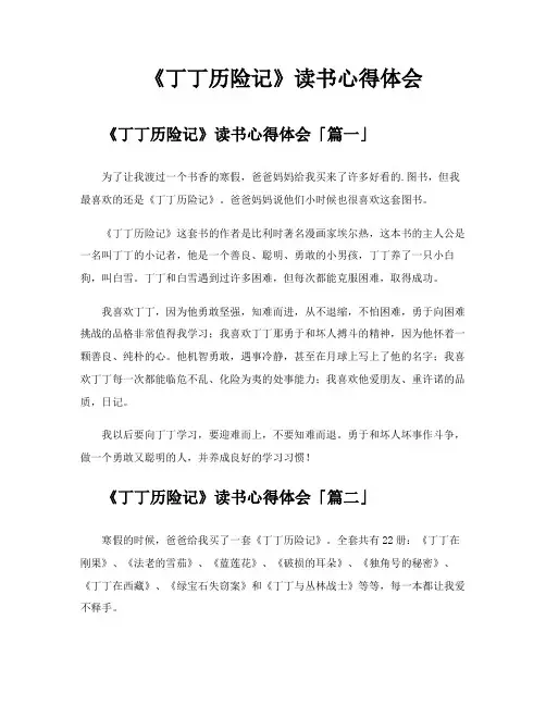 《丁丁历险记》读书心得体会