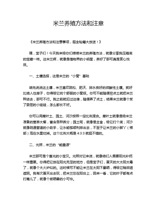 米兰养殖方法和注意