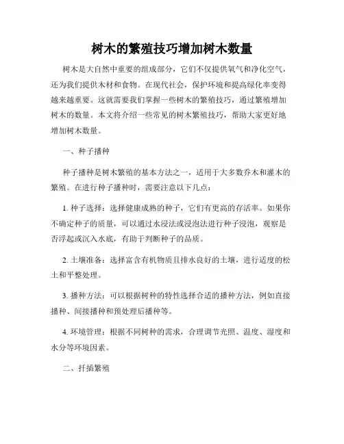 树木的繁殖技巧增加树木数量