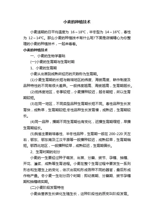 小麦的种植技术