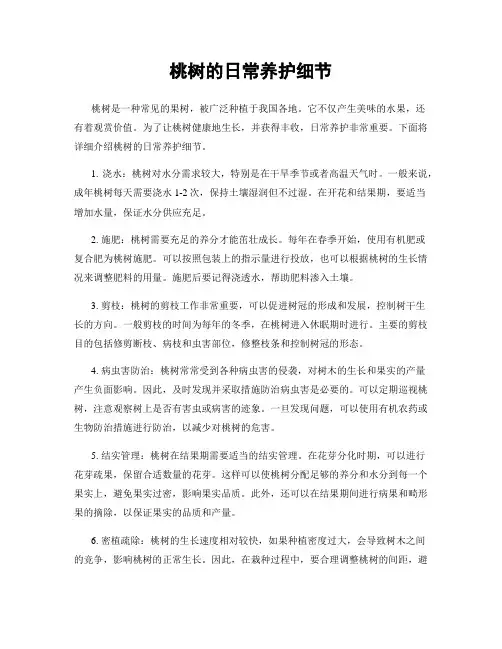 桃树的日常养护细节
