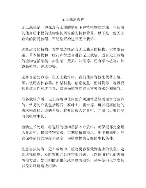 无土栽培教程