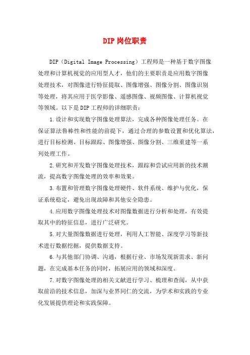 DIP岗位职责