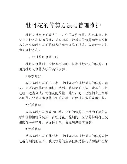 牡丹花的修剪方法与管理维护