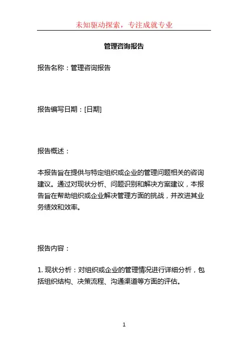 管理咨询报告