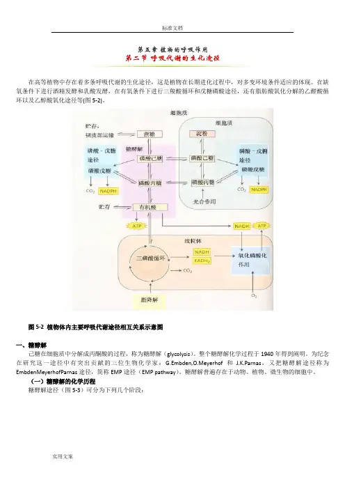 糖酵解三羧酸循环全面总结材料