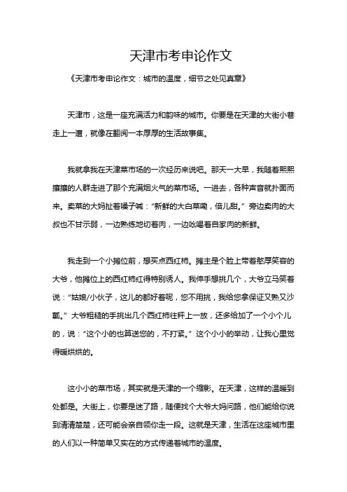 天津市考申论作文