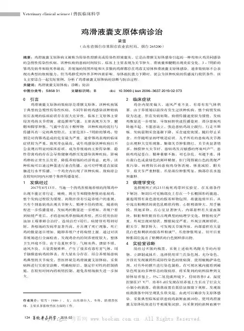 鸡滑液囊支原体病诊治