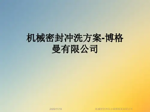 机械密封冲洗方案博格曼有限公司