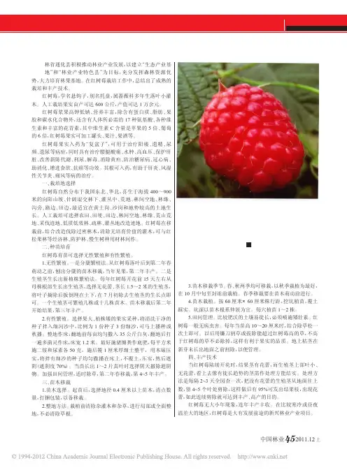 红树莓栽培与丰产技术