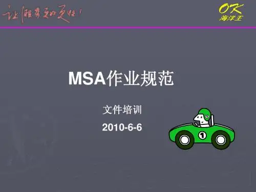 MSA作业规范
