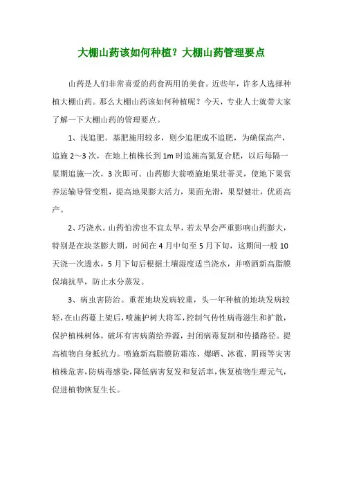 大棚山药该如何种植？大棚山药管理要点