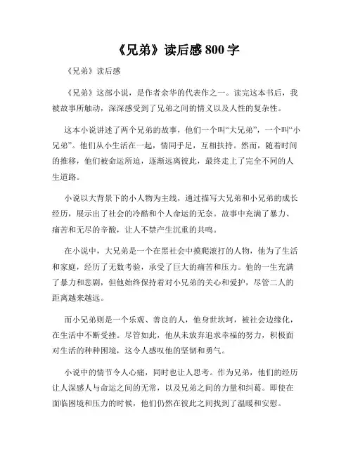 《兄弟》读后感800字