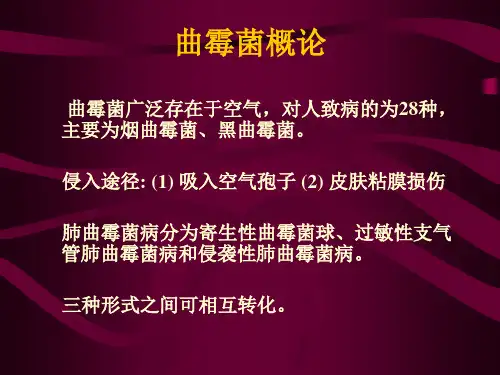 侵袭性肺曲霉菌病
