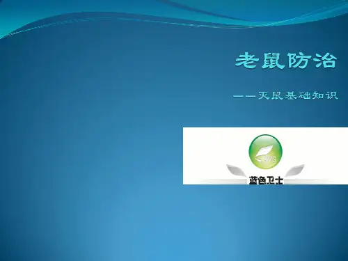 老鼠防治