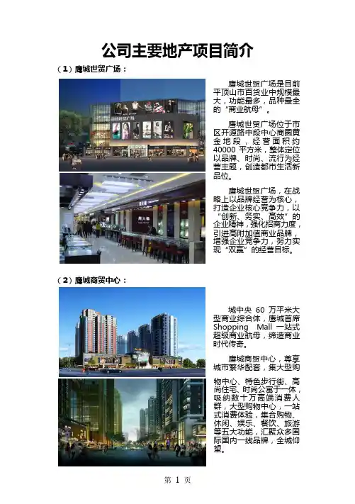 河南鹰城集团项目简介