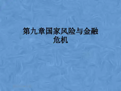 第九章国家风险与金融危机