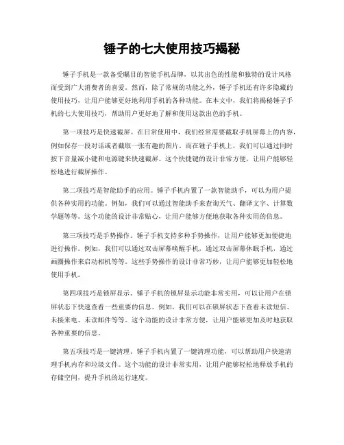 锤子的七大使用技巧揭秘