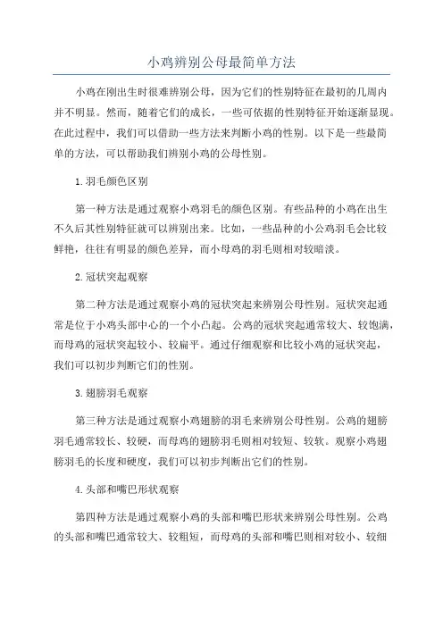 小鸡辨别公母最简单方法