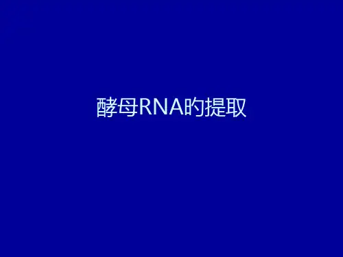实验四酵母RNA提取