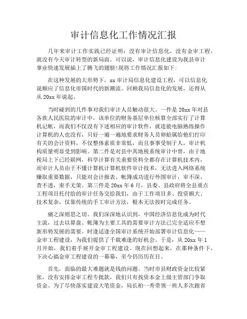 审计信息化工作情况汇报