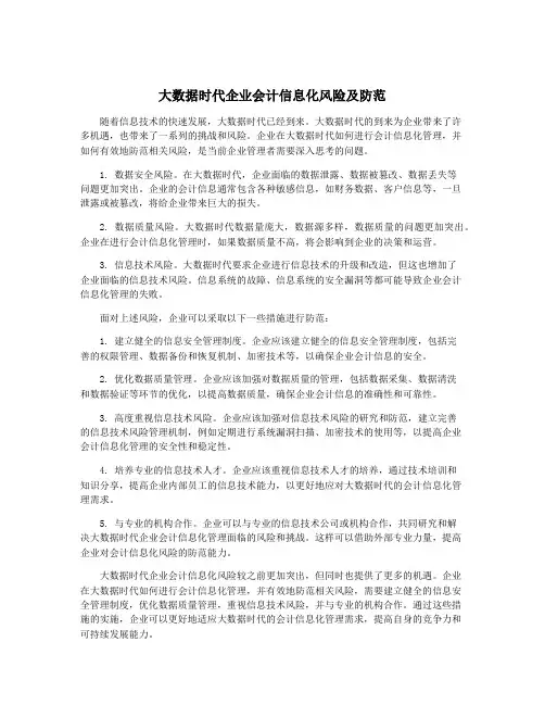 大数据时代企业会计信息化风险及防范
