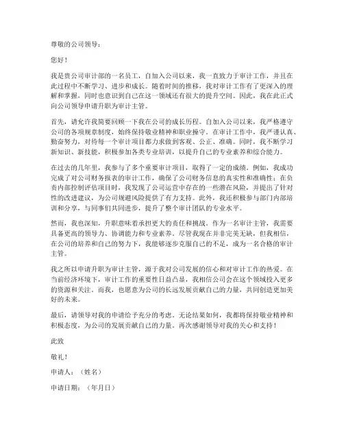 审计升职申请书模板范文