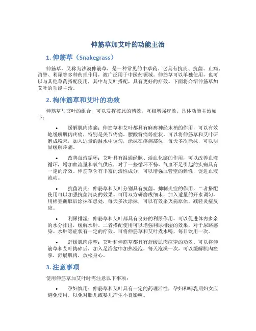 伸筋草加艾叶的功能主治