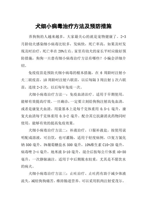 犬细小病毒治疗方法及预防措施