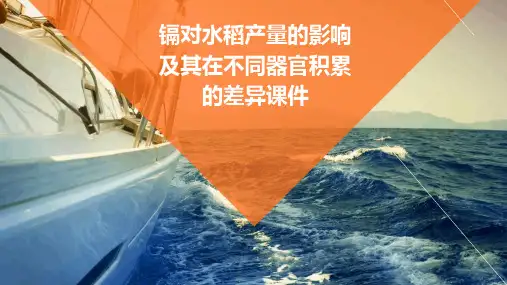 镉对水稻产量的影响及其在不同器官积累的差异课件