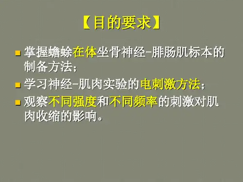 刺激强度、刺激频率与肌肉收缩反应的关系