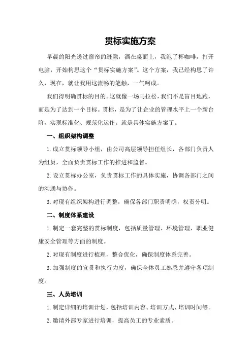 贯标实施方案