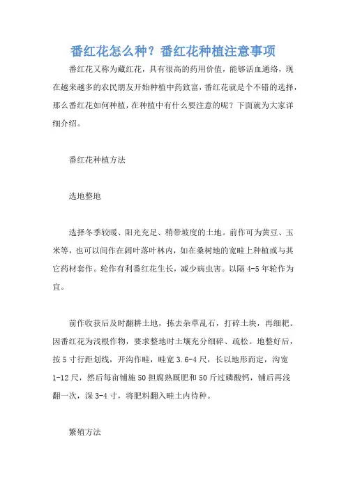 番红花怎么种？番红花种植注意事项