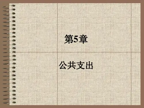 公共经济学第5章
