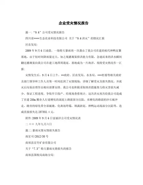 企业受灾情况报告