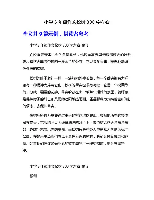 小学3年级作文松树300字左右